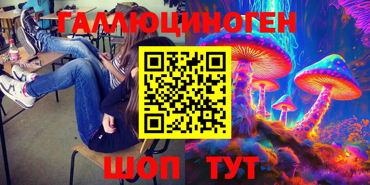 Галлюциногенные грибы Psilocybe Донецк